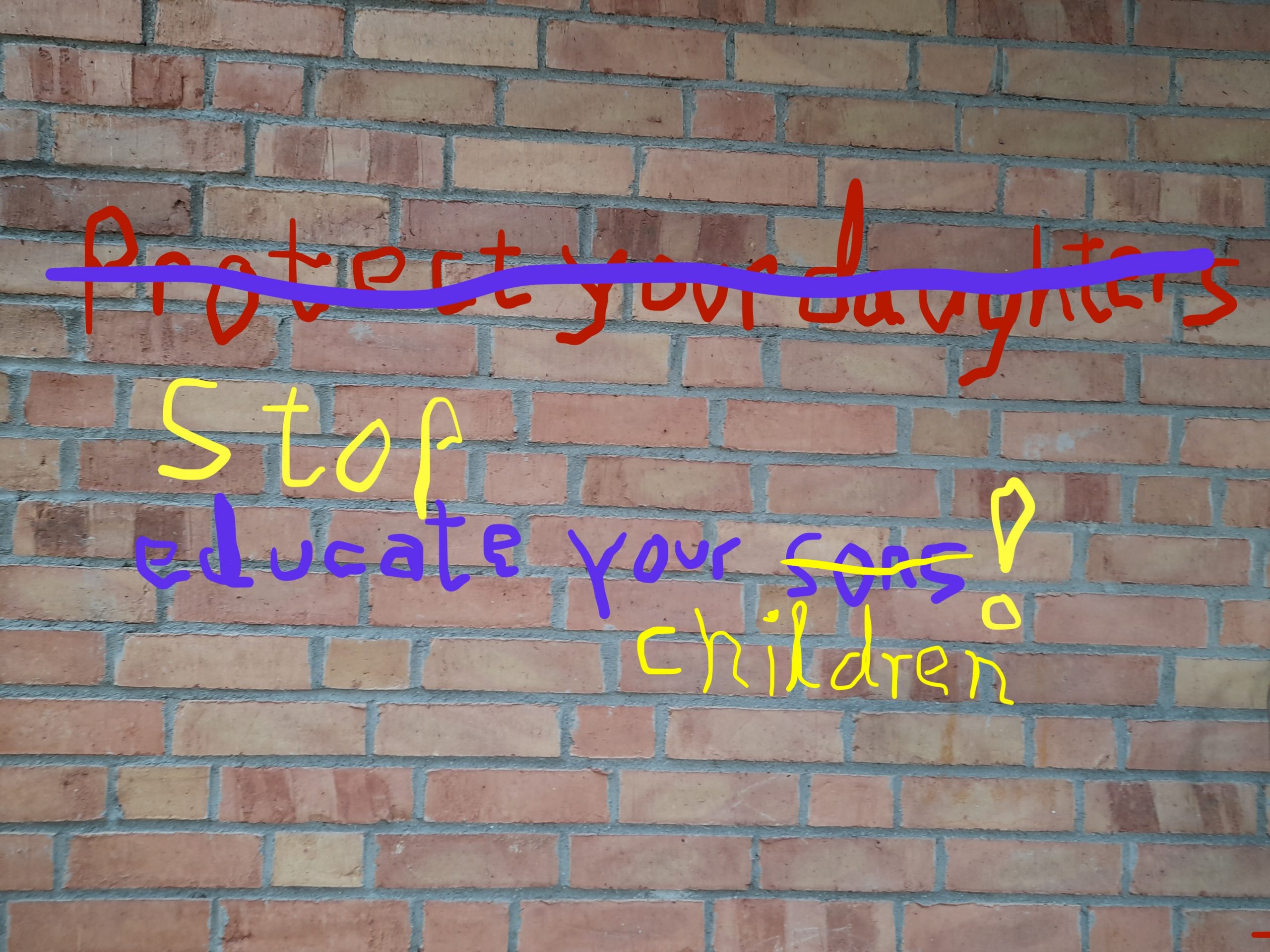 Bild einer Mauer mit Graffity darauf, die mehrfach durchgestrichen und mit Worten ergänzt wurde. Statt "protect your daughters" - educate your sons, steht da nun "stop educate your children"